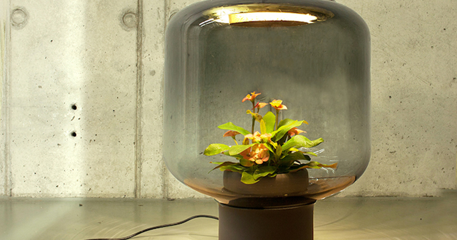 Myrdal Plantlamp
