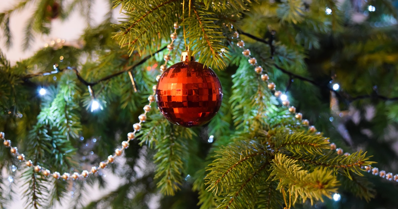 Kako poskrbeti, da bo novoletno drevesce dlje časa sveže