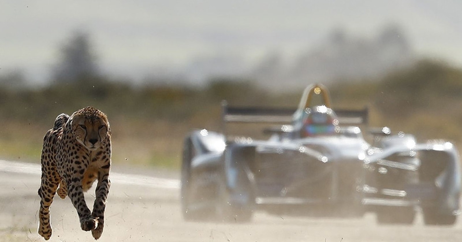 Gepard proti formuli