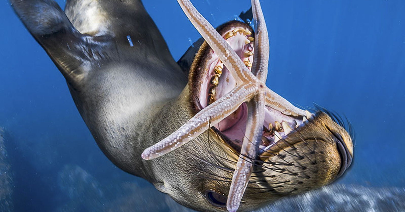 Foto: National Geographic