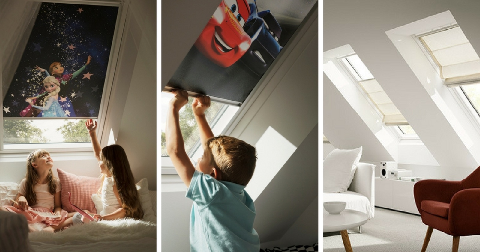 Velux na 57. sejmu Dom