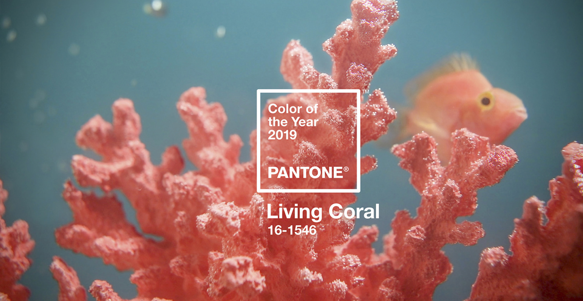 Barva leta 2019. Foto: Pantone