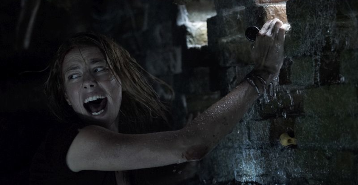 Plazenje (Crawl 2019)