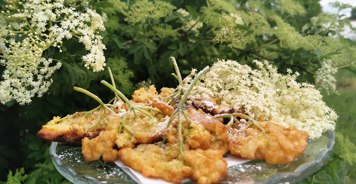 Recept - Ocvrti bezgovi cvetovi