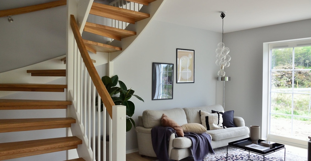 pexels-photo-3705529