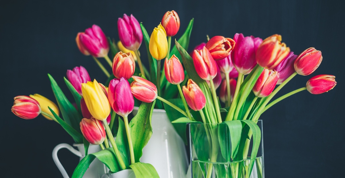 libby-penner-tn3jqdxnbm-unsplash