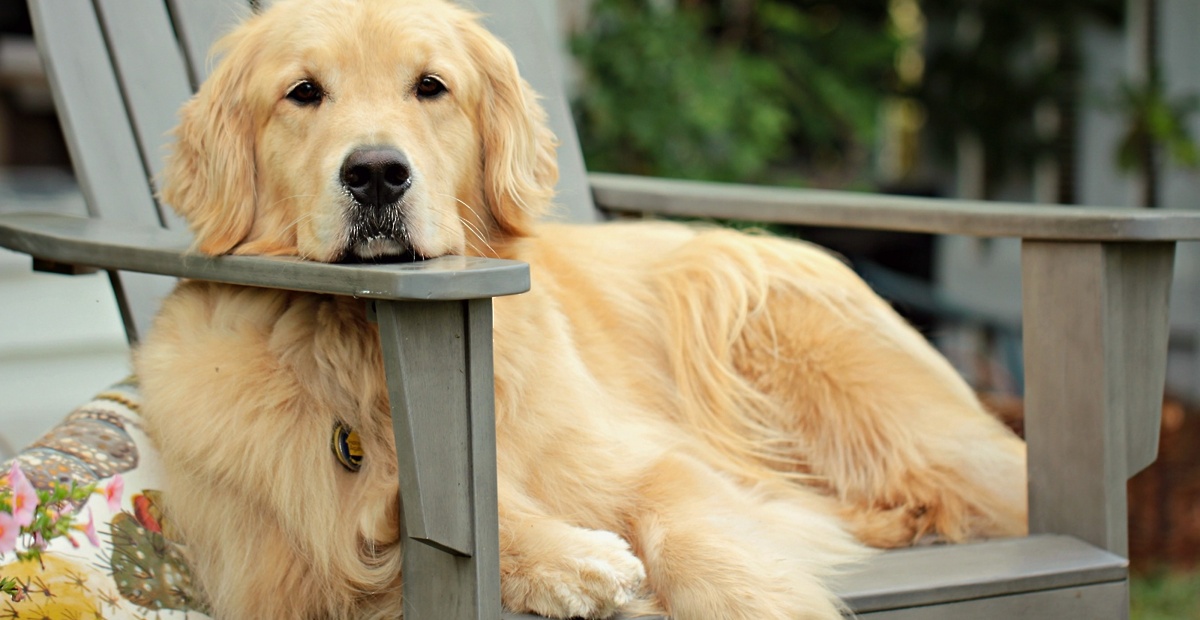 david-moynihan-btqm4cpnne-unsplash