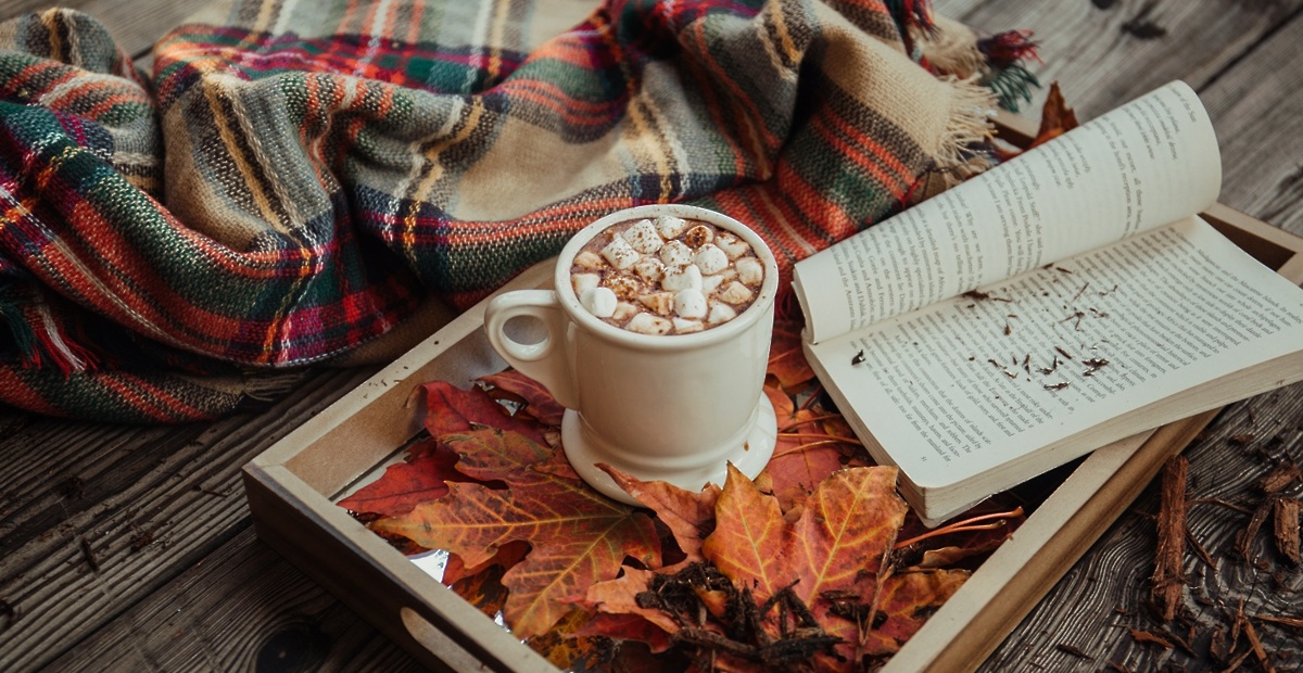 alisa-anton-jhxgkggd3sw-unsplash