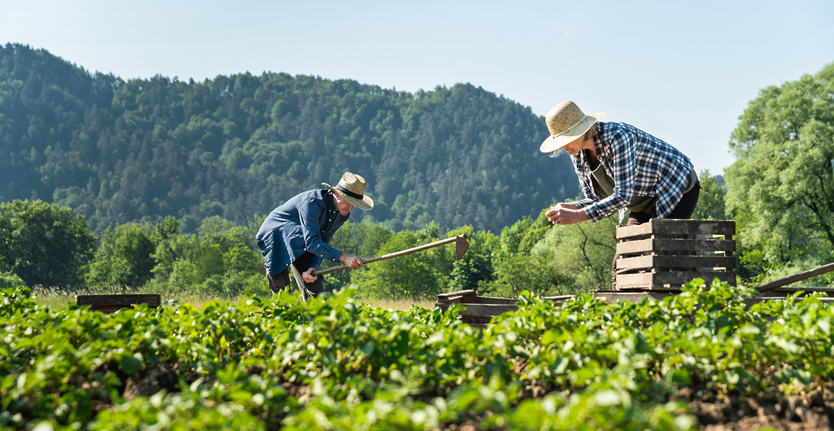 ohranimo-domačeizbirajmo-lokalno1