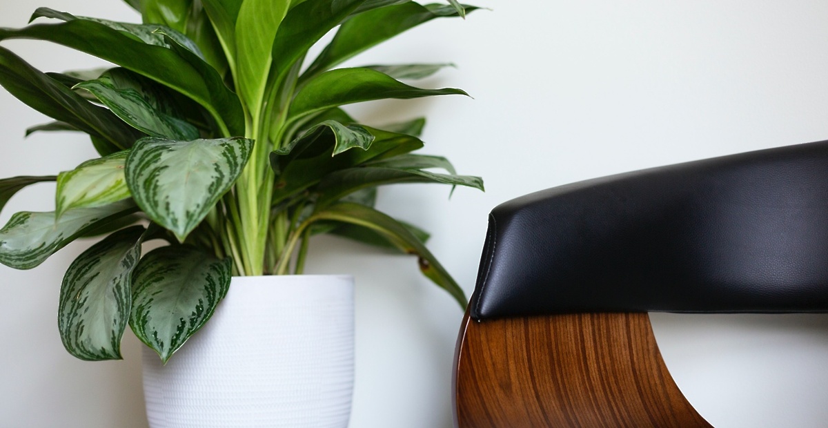 drew-beamer-ehbb9g7qbss-unsplash