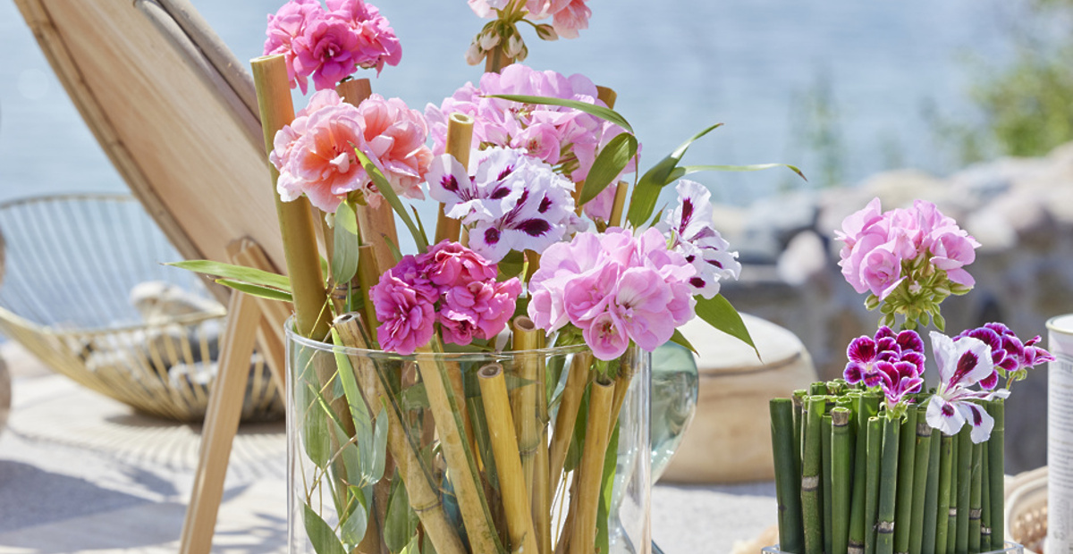 ideje-za-dekoracije-ki-vključujejo-rezane-pelargonije100