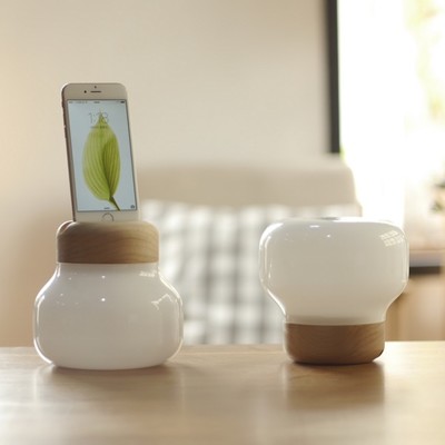 Mushroom Lamp