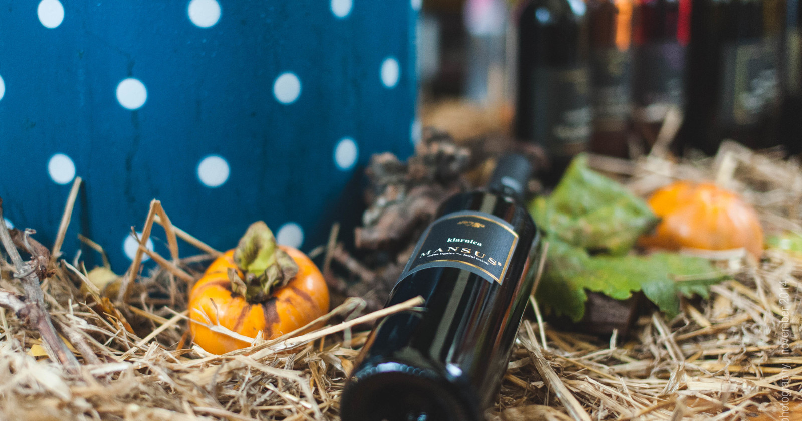 Kam na letošnje martinovanje?