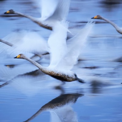National Geographic