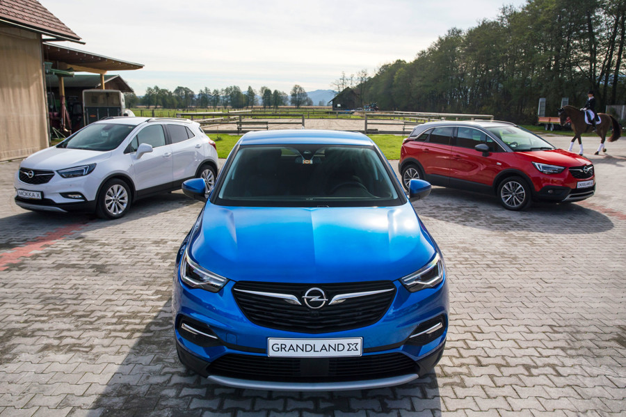 Opel Grandland: največji med brati X