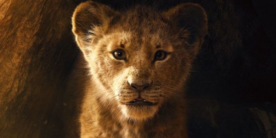 Levji kralj