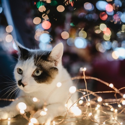 Foto: Unsplash