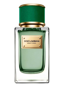 Dolce & Gabbana Velvet Cypress. Foto: Fragrantica
