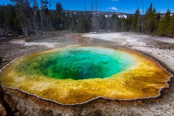 Nacionalni park Yellowstone je poln magičnosti in raznolikosti. Foto: Pexels