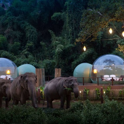 Anantara Golden Triangle Elephant Camp & Resort