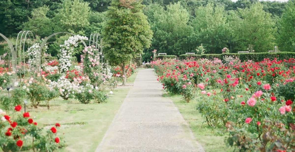 photo-1578302758063-0ef3e048ca89