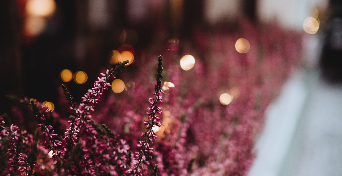 freestocks-synqymt9bu-unsplash