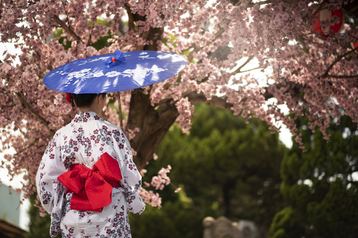 sakurajaponska kimonofotofreepik